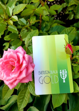 Ключ к Светлице Блага Голд