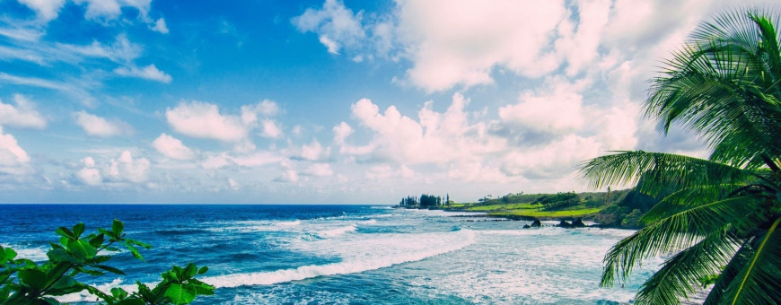 Ограниченное предложение от ИМКС