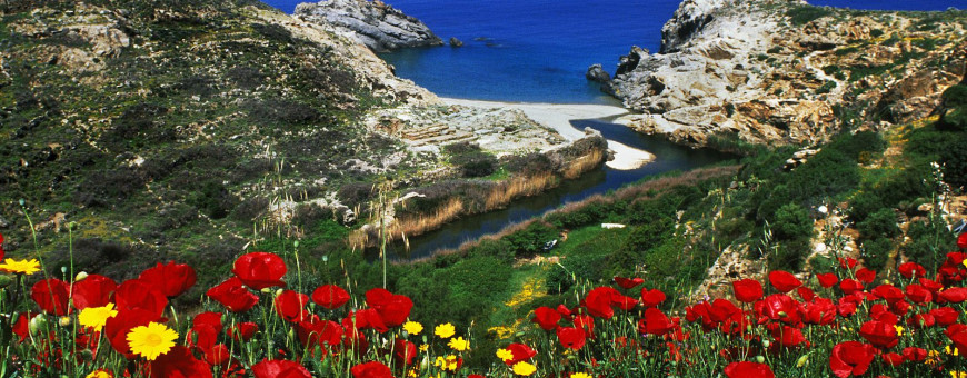 Светличная трансформационная игра  7 сентября